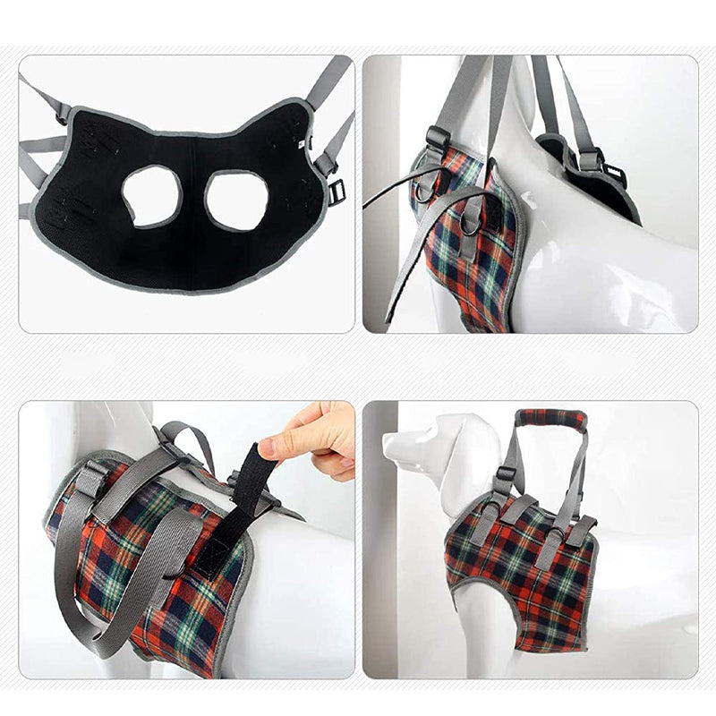 Orthopädischer Hundegurt - Unterstützung &amp; Stabilität