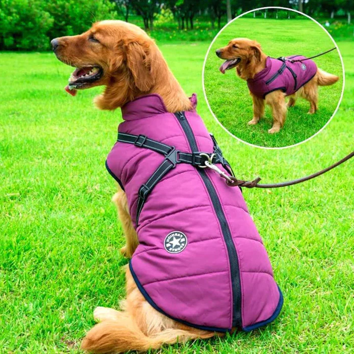 Wasserdicht Winter Hundejacke