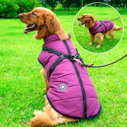 Wasserdicht Winter Hundejacke