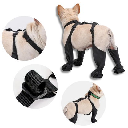 Wasserfeste Hundesuspenders Stiefel