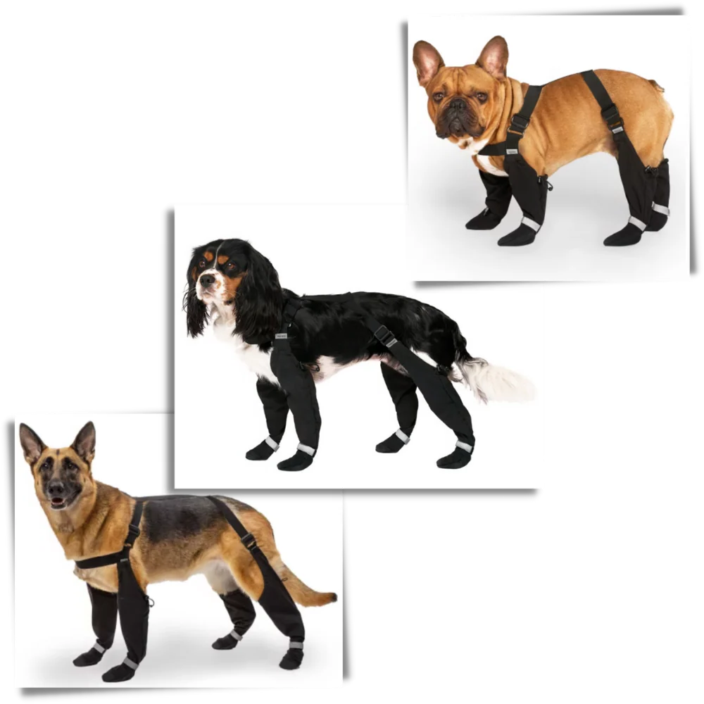 Wasserfeste Hundesuspenders Stiefel