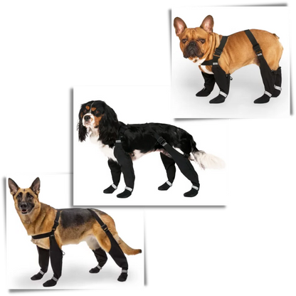 Wasserfeste Hundesuspenders Stiefel