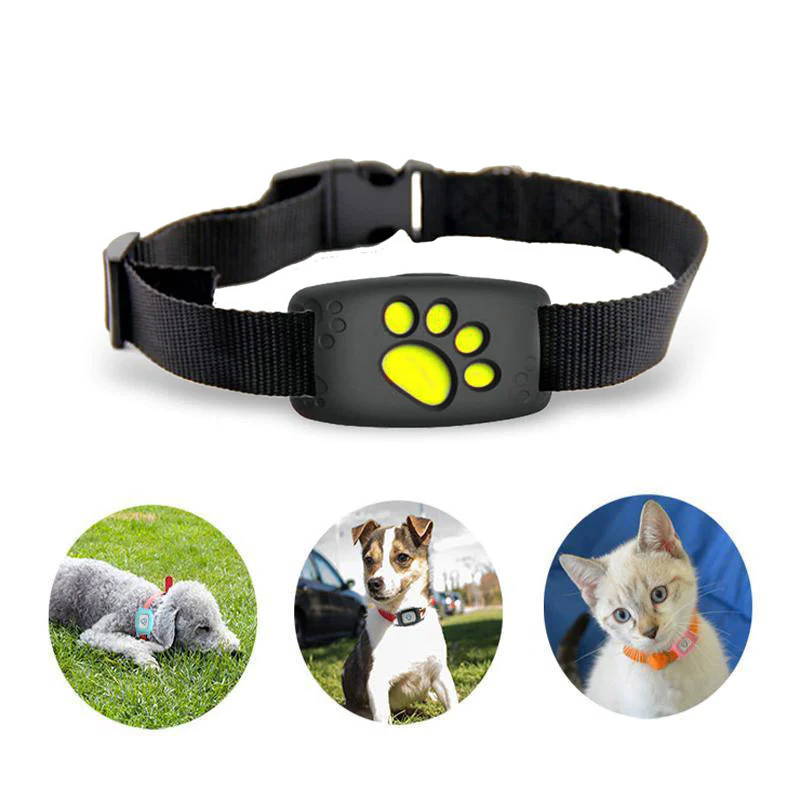 Smart GPS Katzenhalsband mit Echtzeit-Tracking