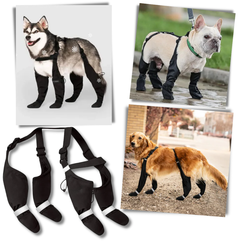 Wasserfeste Hundesuspenders Stiefel