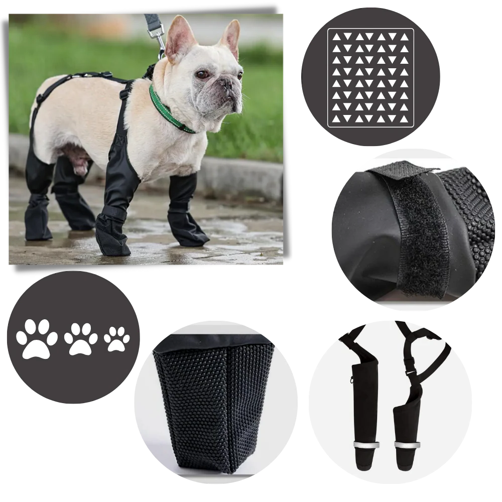 Wasserfeste Hundesuspenders Stiefel