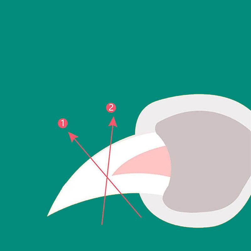 Professioneller Hundekrallenknipser mit Schnellsensor