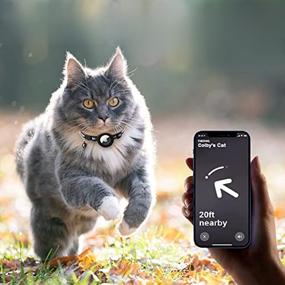 Katzenhalsband mit Sicherheitsverschluss - Reflektierend &amp; GPS-Halterung