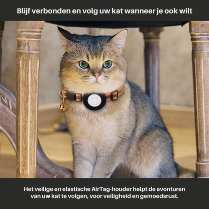 Katzenhalsband mit Sicherheitsverschluss - Reflektierend &amp; GPS-Halterung