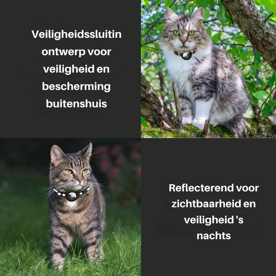 Katzenhalsband mit Sicherheitsverschluss - Reflektierend &amp; GPS-Halterung