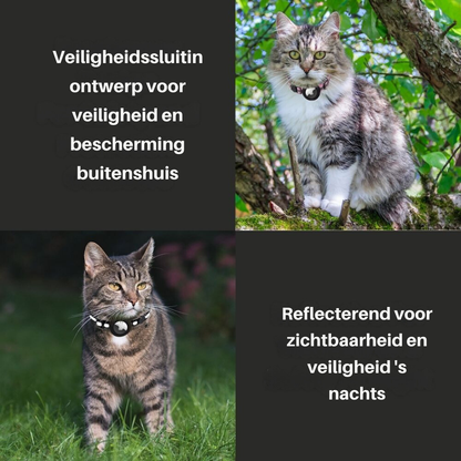 Katzenhalsband mit Sicherheitsverschluss - Reflektierend &amp; GPS-Halterung