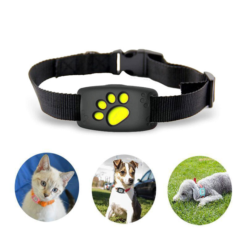 Intelligentes GPS-Halsband für Haustiere - Echtzeit-Ortung - PawTrack
