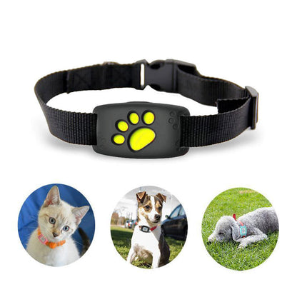Intelligentes GPS-Halsband für Haustiere - Echtzeit-Ortung - PawTrack