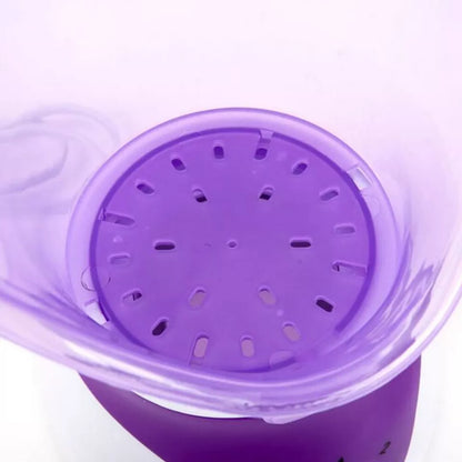 Tragbarer Gesichtsdampfer für das Home-Spa