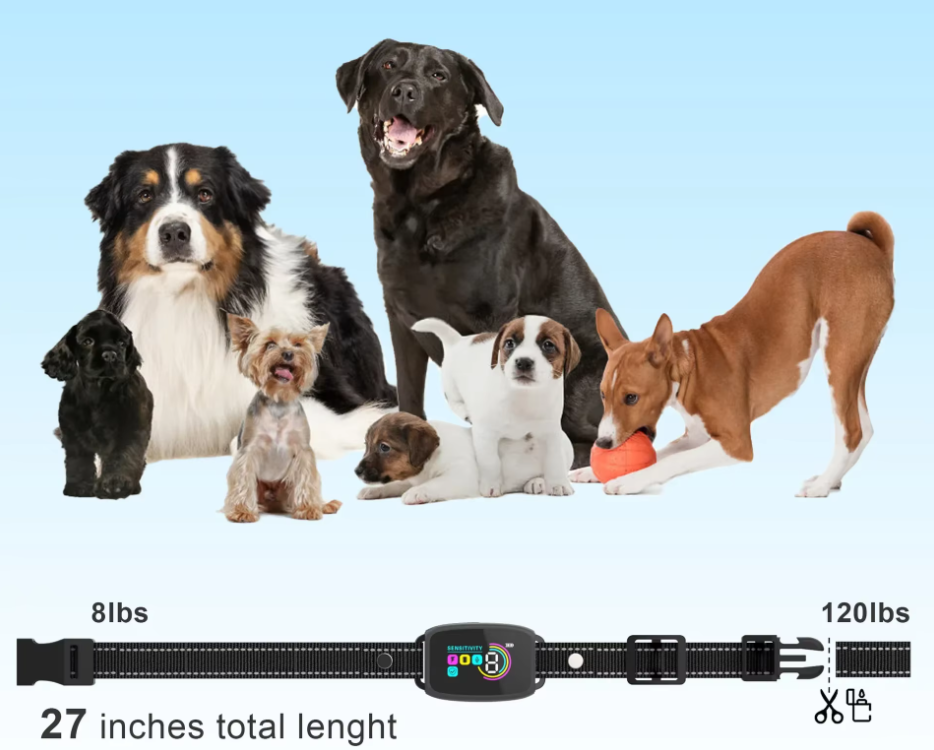 Hundetraining Halsband - 8 Stufen Empfindlichkeit &amp; Schockmodus