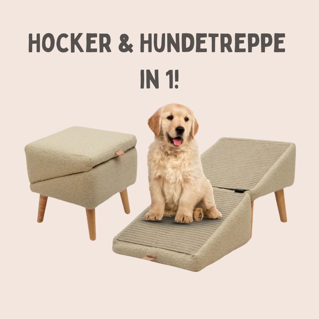Hundetreppe für Bett &amp; Sofa | Hunderampe &amp; Hocker in einem | SofaFreund