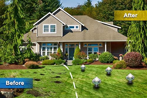 Solarbetriebener Tiervertreiber – Effektiver Schutz für Garten