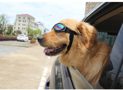 Hundegoggles - UV-Schutzbrille für Hunde in 7 Farben