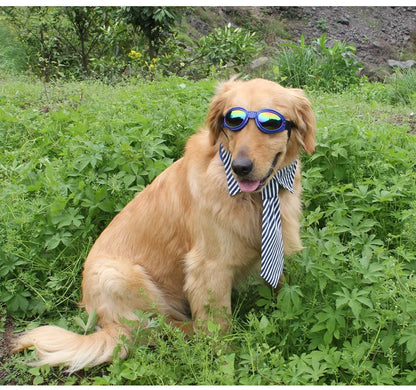 Hundegoggles - UV-Schutzbrille für Hunde in 7 Farben