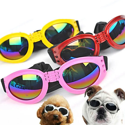 Hundegoggles - UV-Schutzbrille für Hunde in 7 Farben