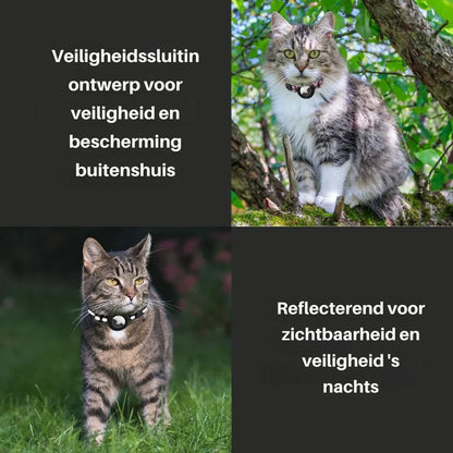 Katzenhalsband mit Sicherheitsclip - Komfort und Stil