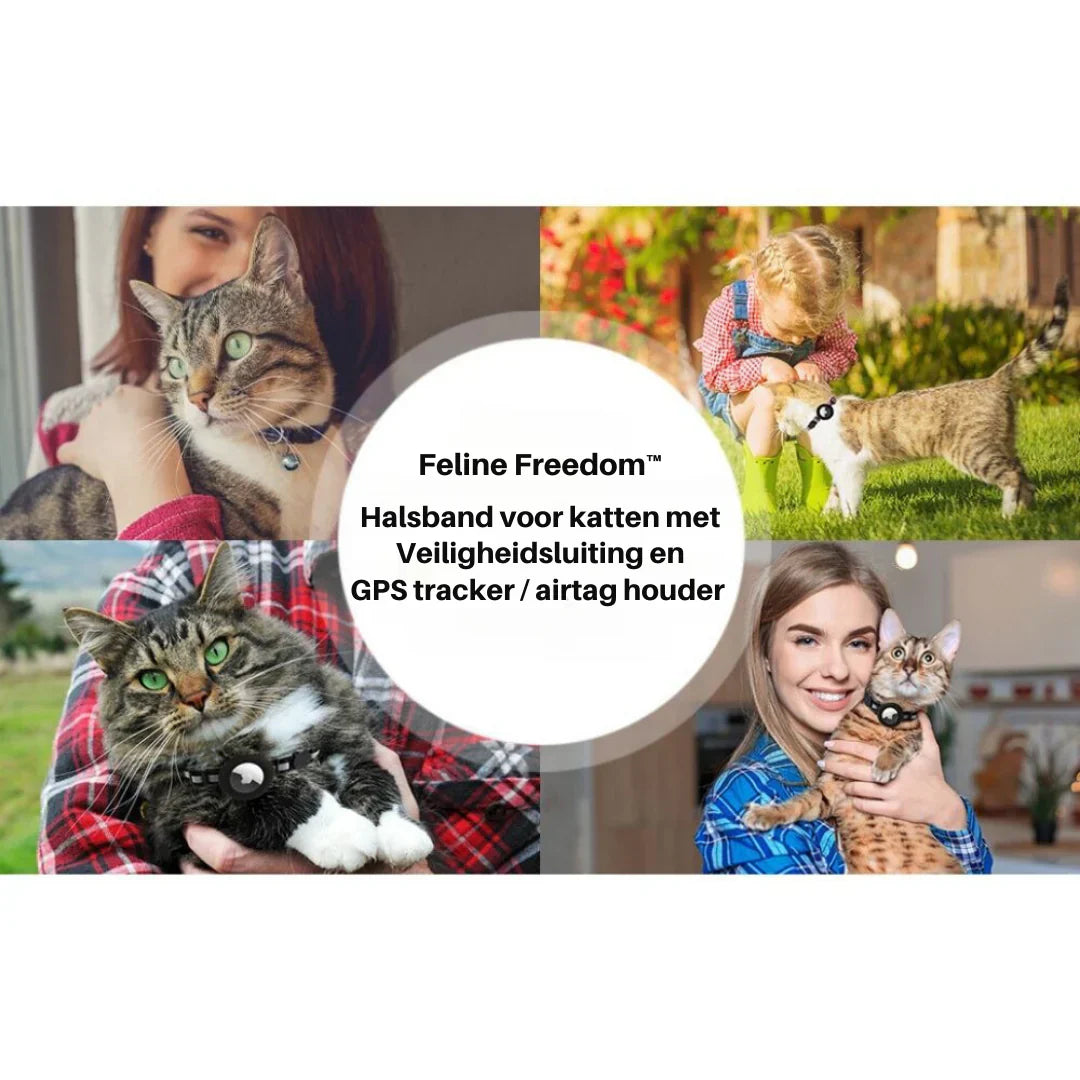 Katzenhalsband mit Sicherheitsclip - Komfort und Stil