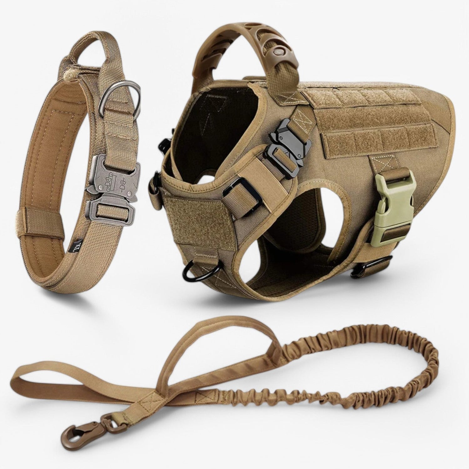 Hundegeschirr – Komfort &amp; Sicherheit im Training