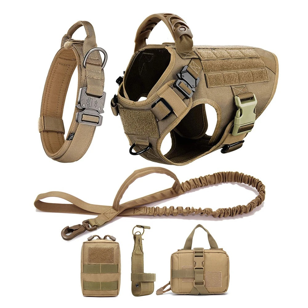 Hundegeschirr – Komfort &amp; Sicherheit im Training