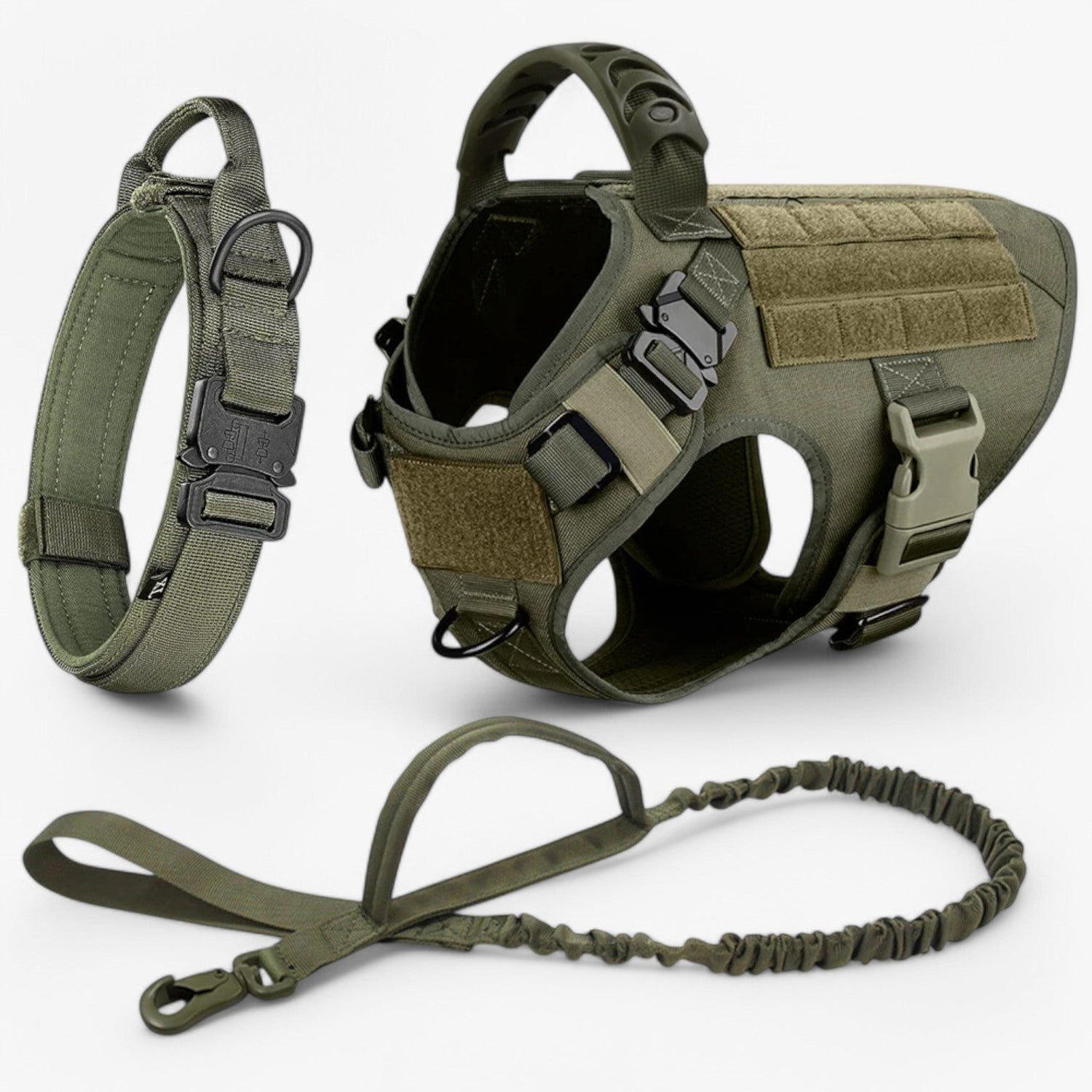 Hundegeschirr – Komfort &amp; Sicherheit im Training