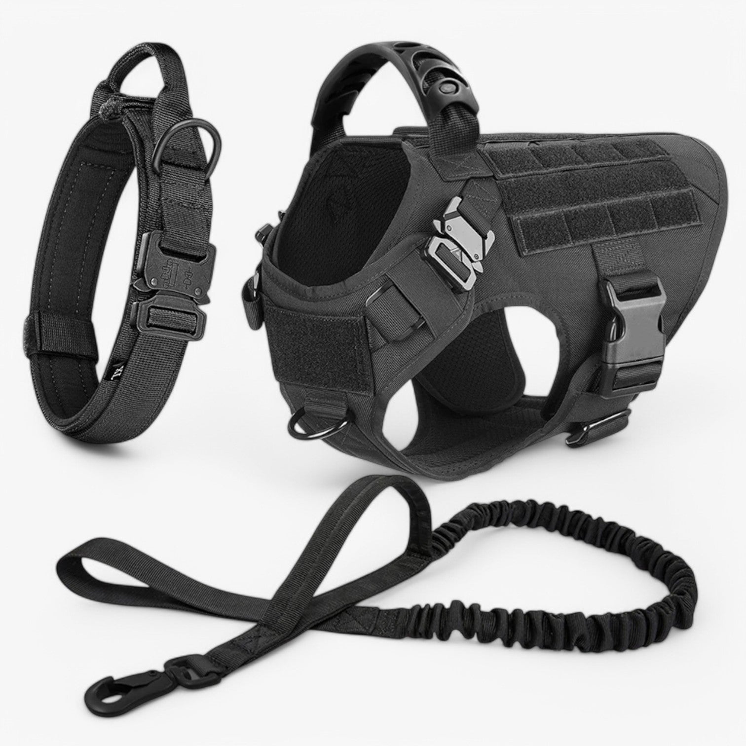 Hundegeschirr – Komfort &amp; Sicherheit im Training