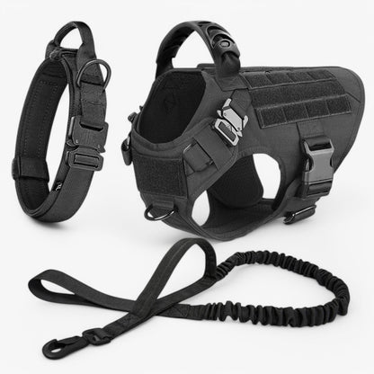 Hundegeschirr – Komfort &amp; Sicherheit im Training