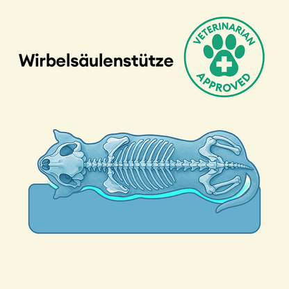 Wasserfestes Orthopädisches Hundebett - Komplettunterstützung Groß