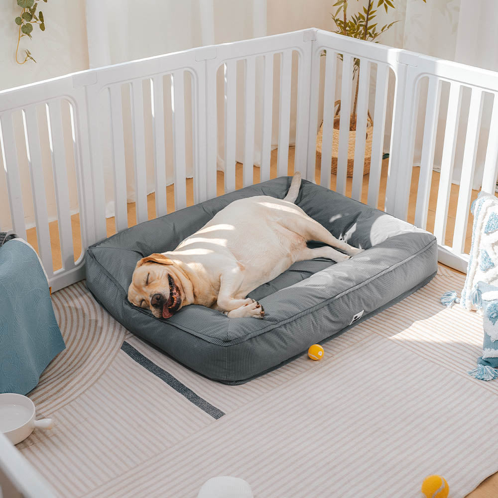 Wasserfestes Orthopädisches Hundebett - Komplettunterstützung Groß