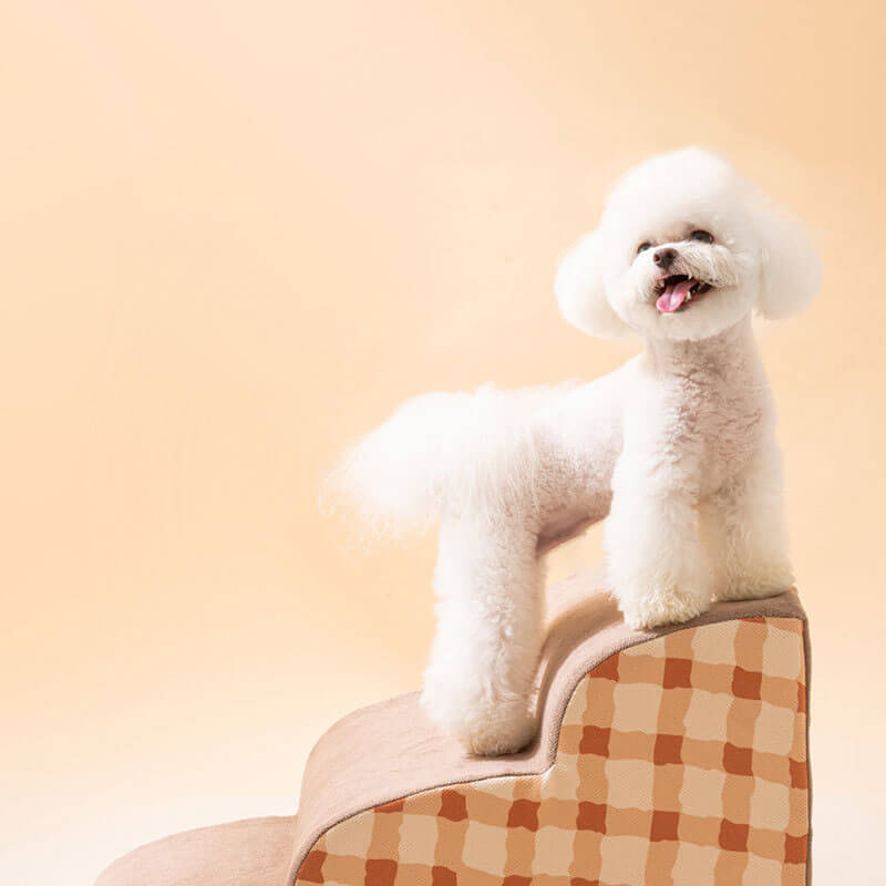 Hundetreppe mit weichem Schaumstoff - Rutschfest und Robust