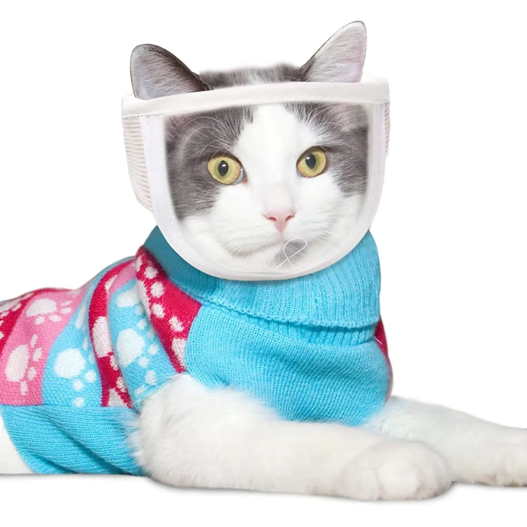 Katzen Halskrause Maske - Komfortabel &amp; Schützend für Katzen