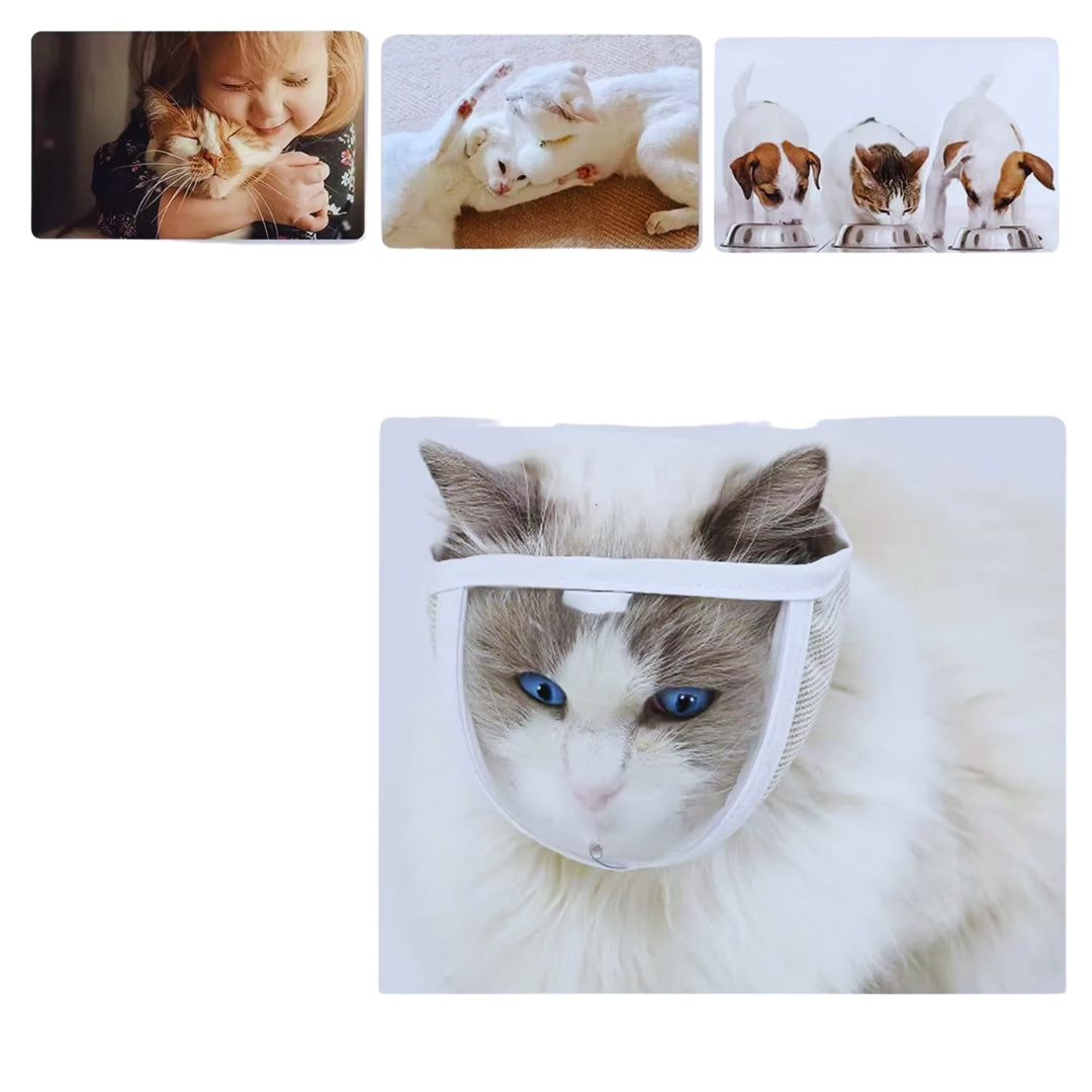 Katzen Halskrause Maske - Komfortabel &amp; Schützend für Katzen