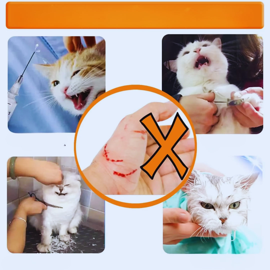 Katzen Halskrause Maske - Komfortabel &amp; Schützend für Katzen