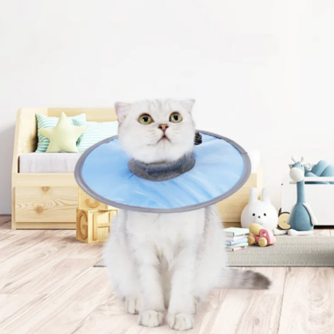 Weicher Haustier-Schutzkragen - Komfortable Heilung